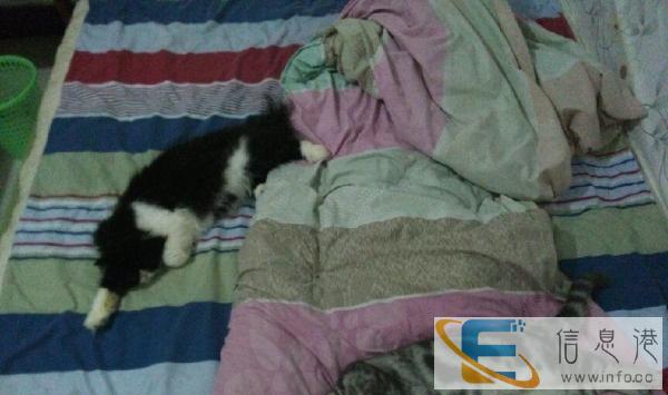 小佩智能饮水机转让