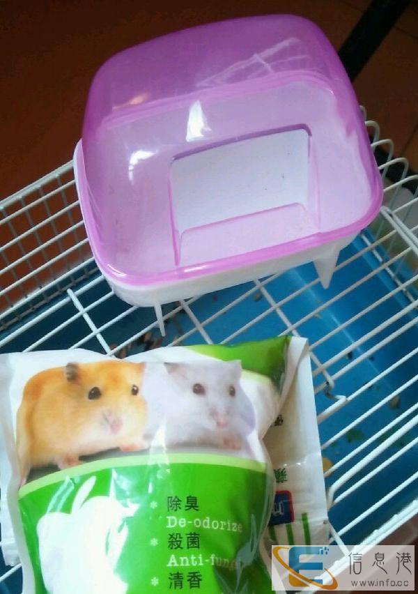 二手仓鼠用品便宜甩，仓鼠浴沙加浴室