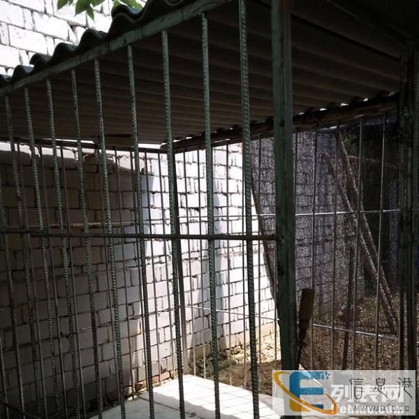 全新超大实心铁笼