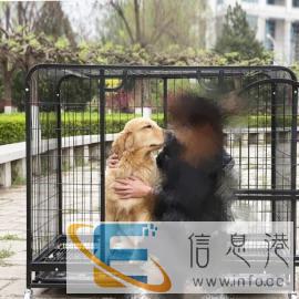 工作调动，急需转让未使用的狗笼