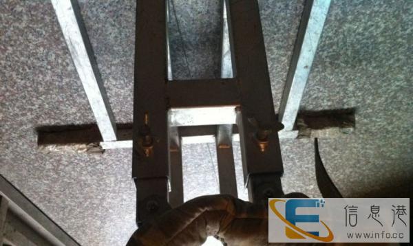 狗配种交配配狗架