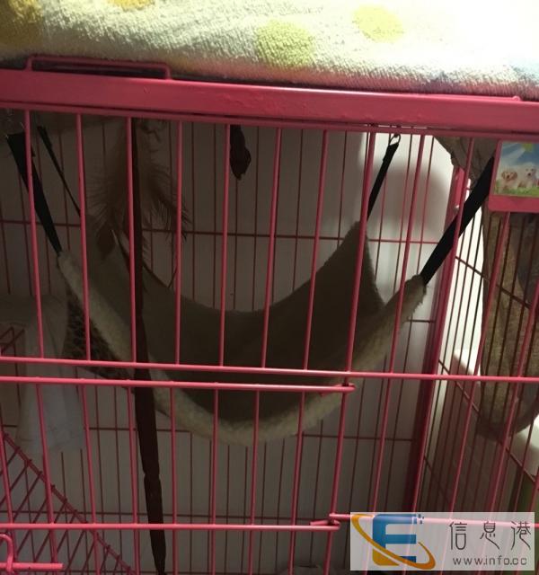 3层3门加粗猫笼