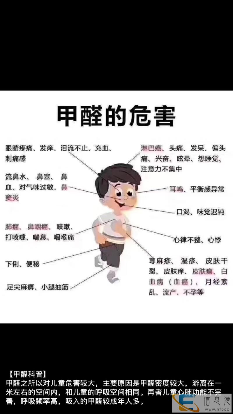 测甲醛 除甲醛 除异味