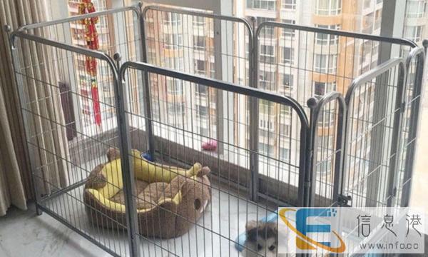 全新 狗围栏送宠物垫，狗厕所