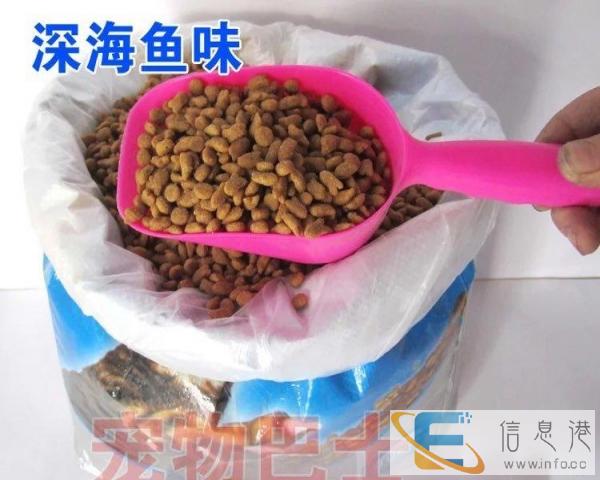 10kg艾尔猫粮，全新，还可以送小包