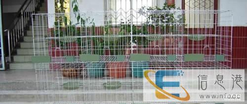 三层十二位鸽笼安装金昌鸽笼价格阶梯鸽笼制作广式鸽笼