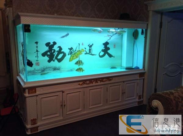 福州市鱼缸清洗维修及定做鱼缸