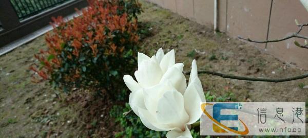 找一名阿姨帮忙带小孩