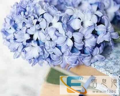 找阿姨帮忙带小孩