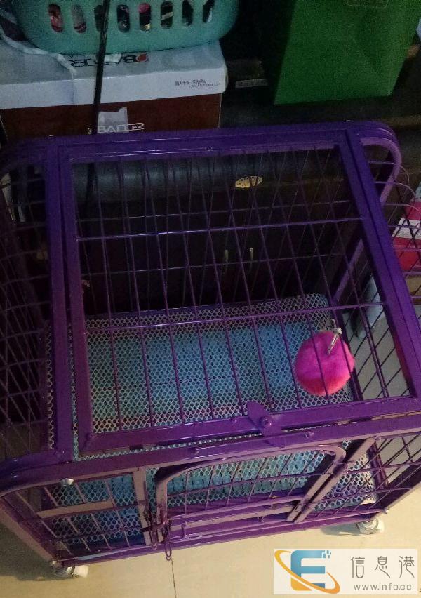 宠物笼子用了半年，需要自取