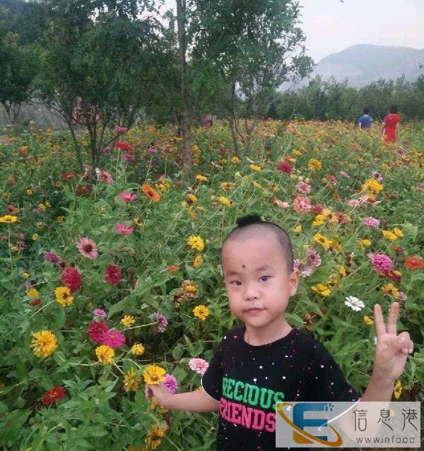 招聛一位全职阿姨