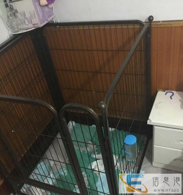 狗栅栏6片转100 90