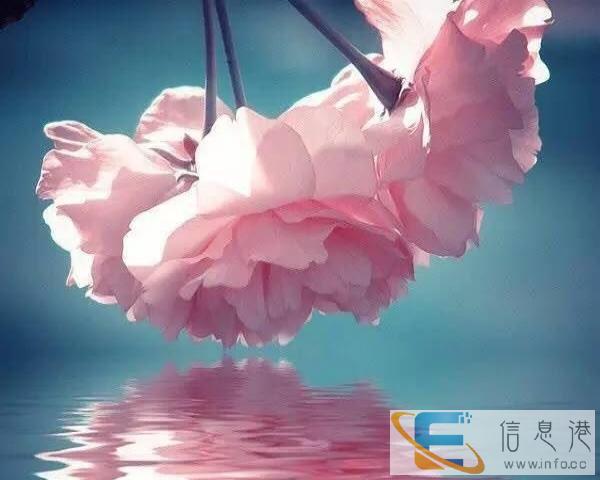 请保姆一名55岁以下，做饭做卫生1800一2400工资