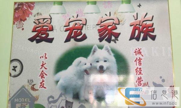 爱宠家族宠物生活馆