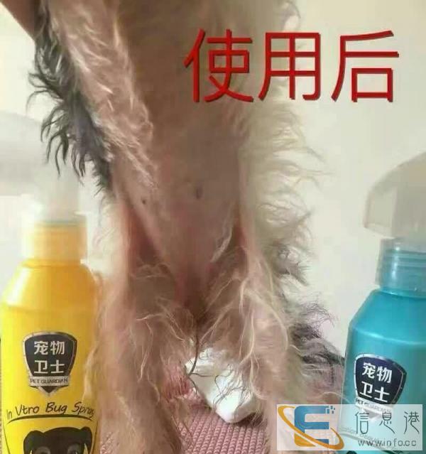 宠物卫士消毒夜，厂家直销，为你爱犬的健康成长把关