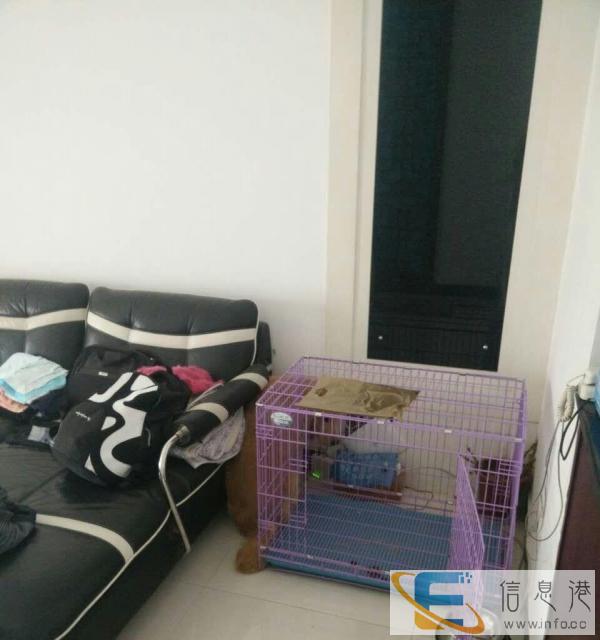 康利斯折叠大号狗笼一个