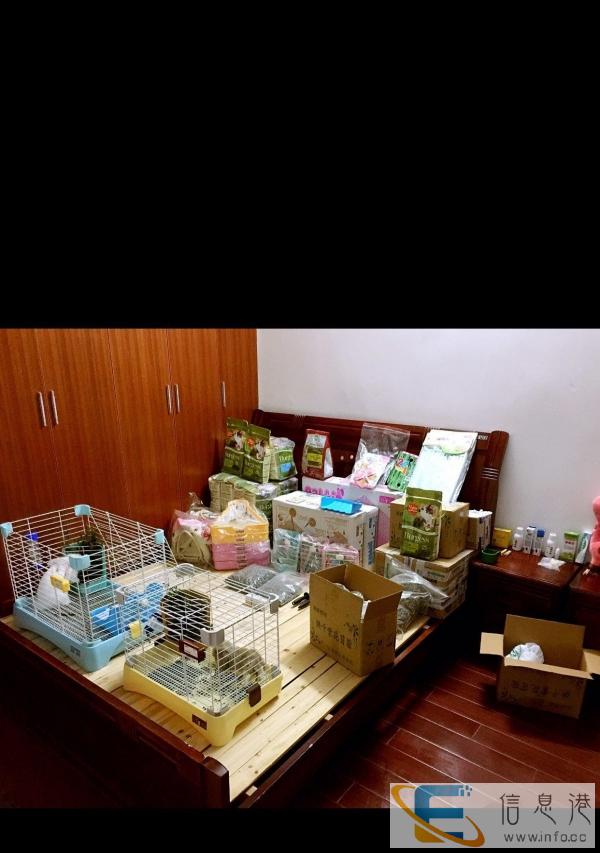 全新兔子物品出售，满50包邮