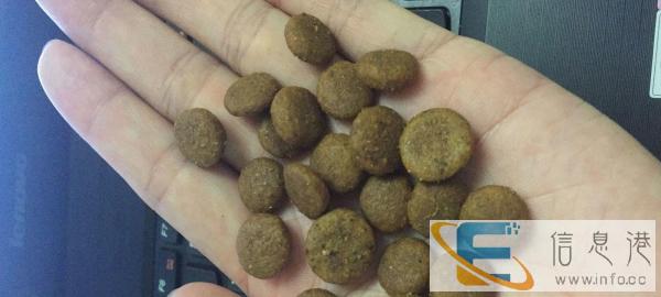 99成新狗粮价格245