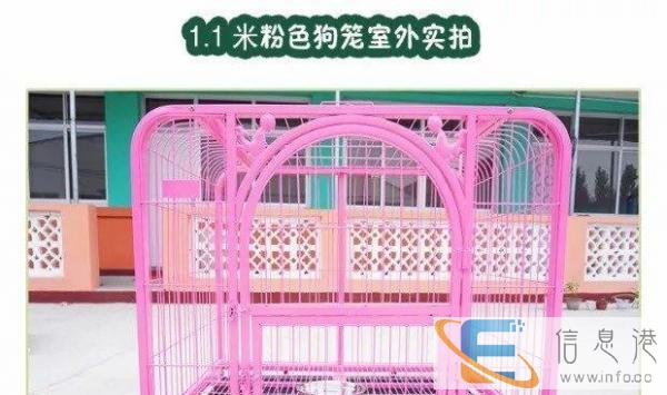 大型狗笼加漏垫低价转让