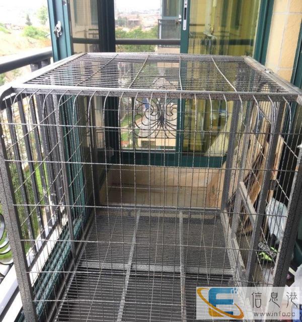 大型狗笼子 亏本转让