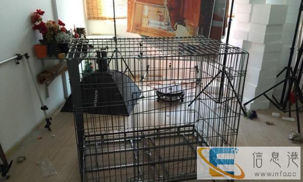 1.4X1.2的狗笼子一个