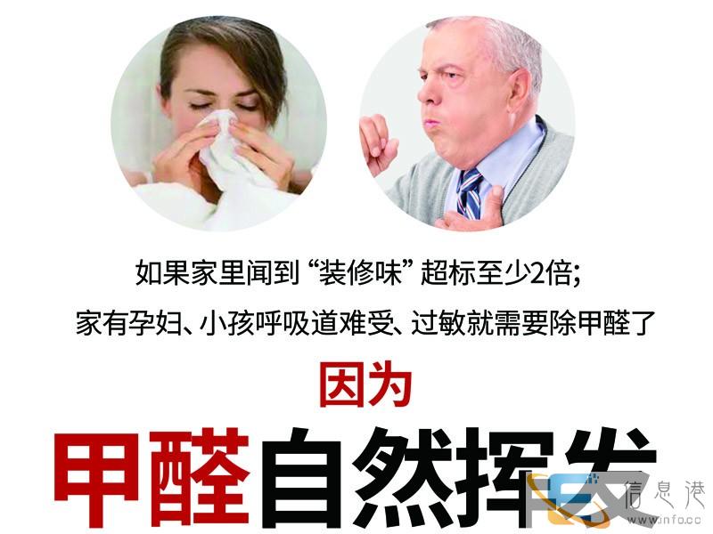 广州全市除甲醛上门服务检测治理甲醛空气净化除异味