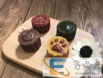 金牌宠物美容师基地毕业独立工作办学13年