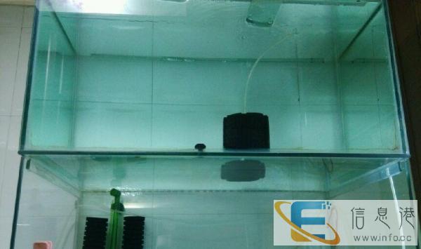 主缸，四层整体鱼缸