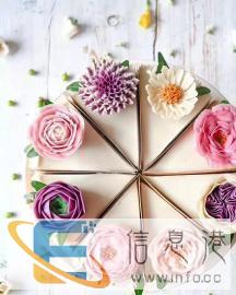 找日间保姆搞卫生煮午餐和晚餐