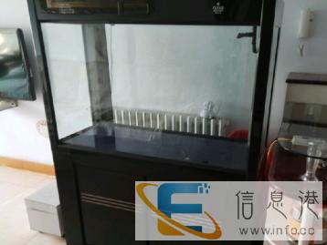 白菜价出售可丽爱水族箱，五条日本锦鲤