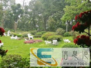 月嫂、保姆照顾小孩，少量家务 住家不住家可商量