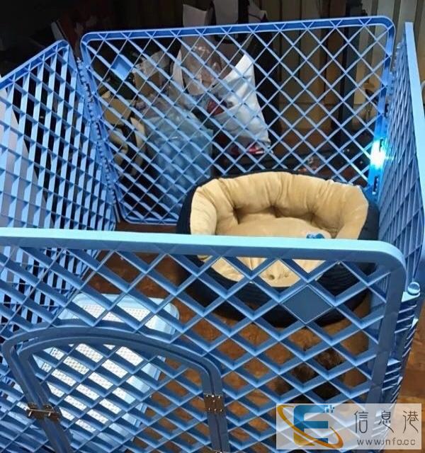 宠物狗中号笼子栅栏