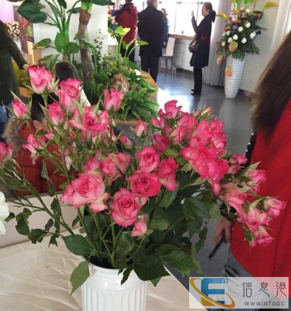 做饭好吃会炖汤的阿姨