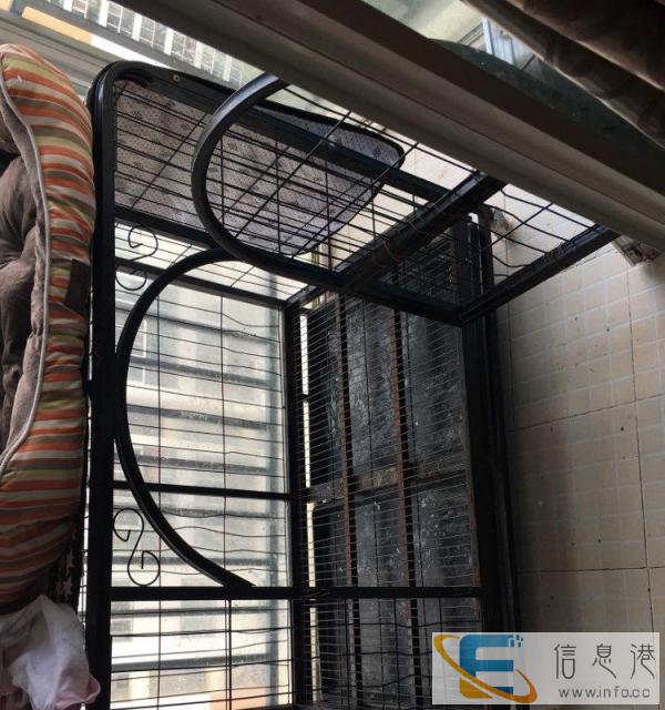 6成新狗笼低价卖