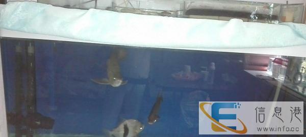 此缸转让，换缸了