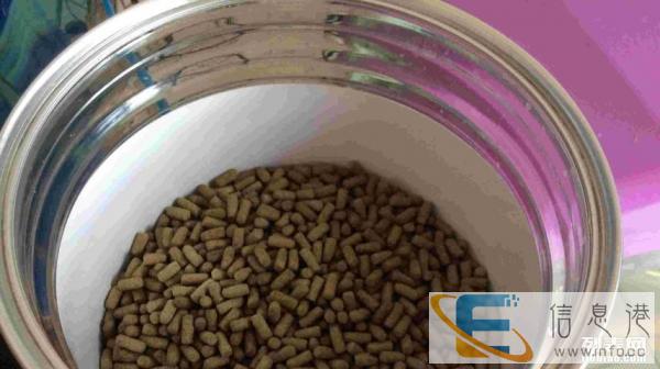 龙鱼热带鱼大型鱼饲料