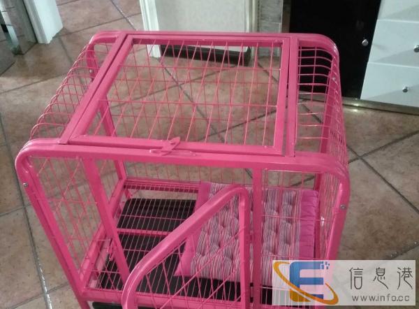 全新狗用品价格200