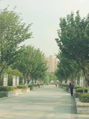找个有责任心的住家阿姨