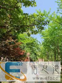 找会带孩子的家政照顾孩子