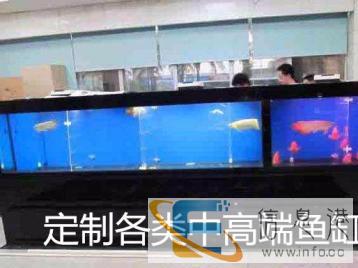 定制鱼缸水族箱定制大型海鲜池定做