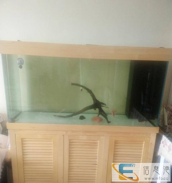 1.5米底滤鱼缸九成新