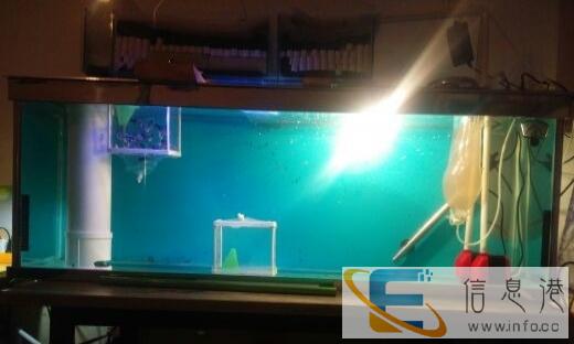 急急急 搬家了 太大,实在不想要了