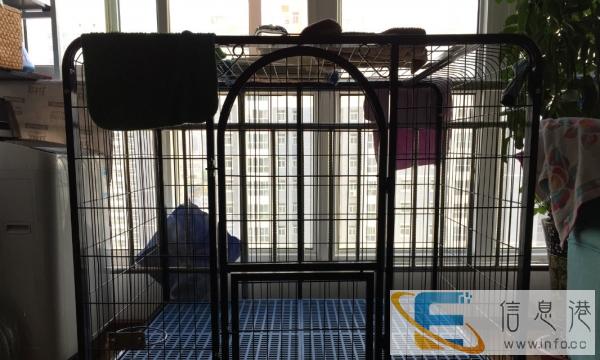9.9成新大型犬狗笼低价转让
