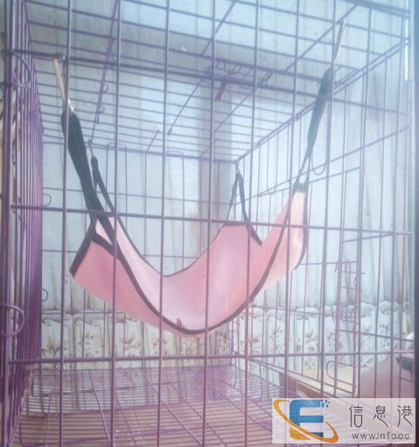 95成新猫用品价格180