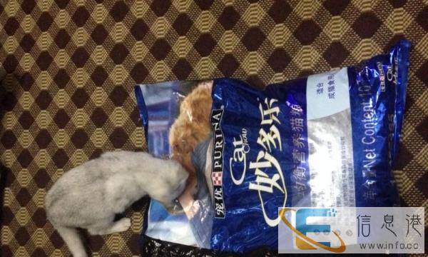 成猫粮转让雀巢妙多乐