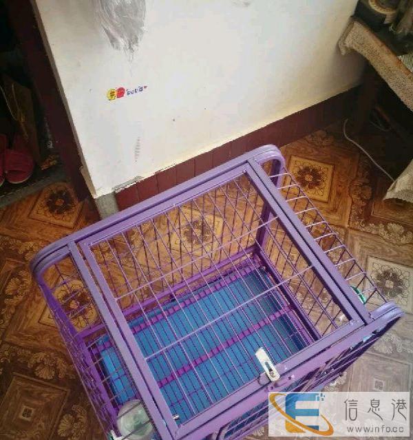 转让 高质量套管狗笼子