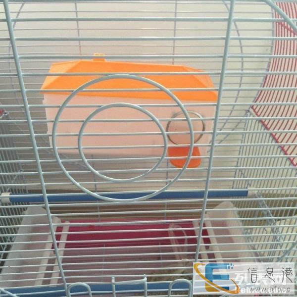 转让笼子 鸟笼 松鼠笼