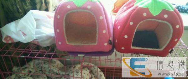 有需要狗笼的联系