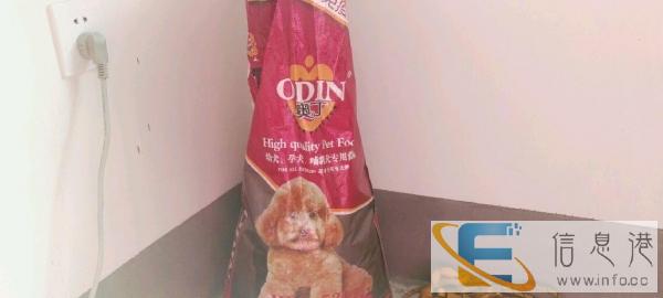 狗粮和狗笼全都拿走