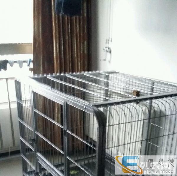 狗不养了，全新狗笼半价转让